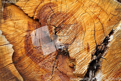 Image of wooden background