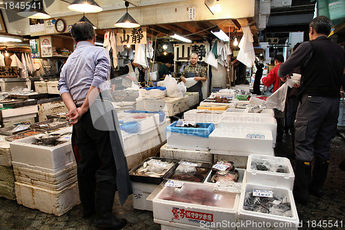 Image of Tsukiji Fish Market
