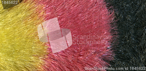 Image of translucent fibers