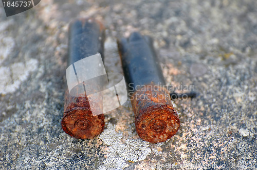 Image of Shotgun Shells