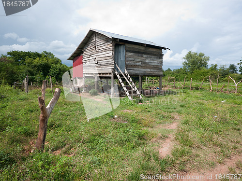 Image of Rural home in Cambodia