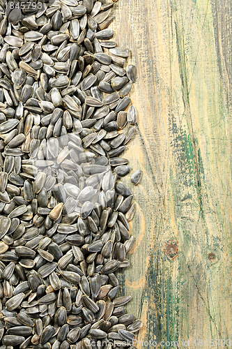 Image of Sunflower seeds.