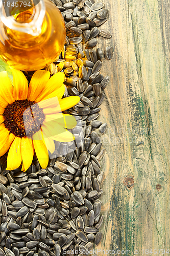 Image of Sunflower seeds and oil in bottle.