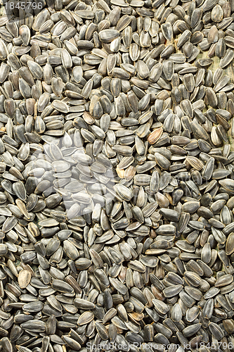 Image of Unrefined sunflower seeds.