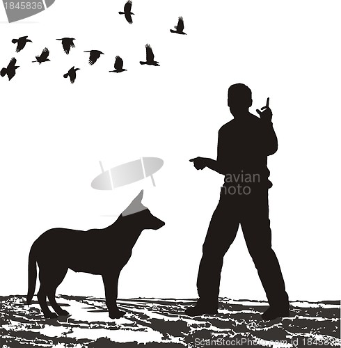 Image of Dog Training in the field