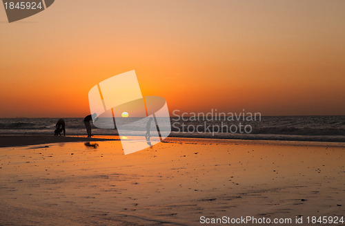 Image of On the beach