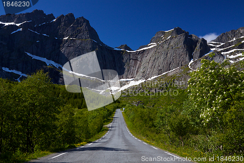 Image of Road to Nusfjord