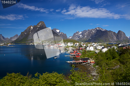 Image of Reine