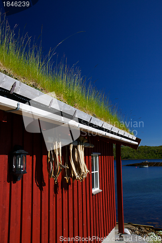 Image of Fishing hut by fjord