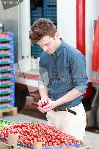 Image of Young man at grocery choosing tomatoes