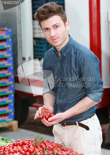 Image of Young attractive man choosing tomatoes