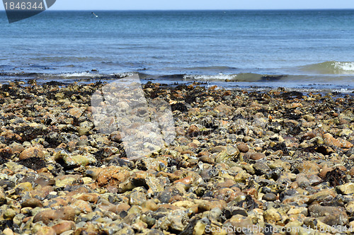 Image of pebble beach