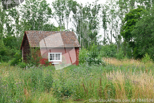 Image of Traditional Swedish red house in summer landscape