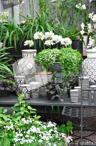 Image of Flowers, plants and ceramics in a flower shop