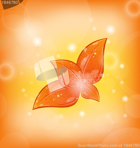 Image of Autumnal background with set orange leaves
