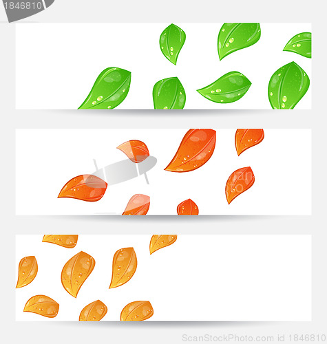 Image of Set autumn seasonal cards with changing leaves