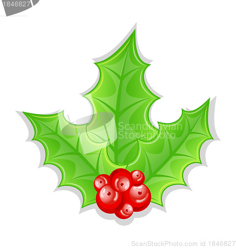 Image of Christmas decoration holly berry branches isolated on white back