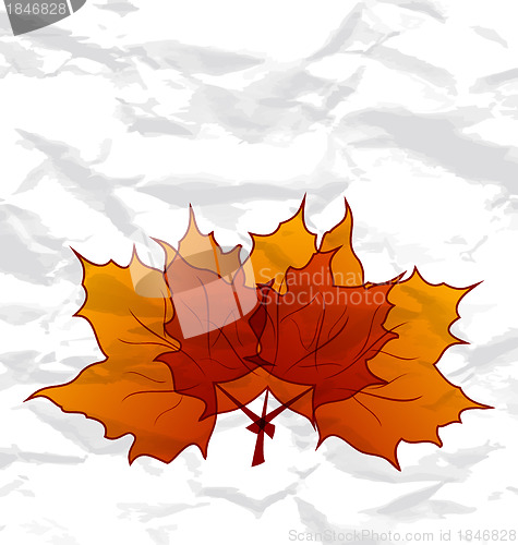 Image of Autumnal maple leaves, crumpled paper texture