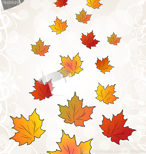 Image of Flying autumn orange maple leaves