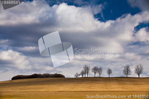 Image of On the golf course