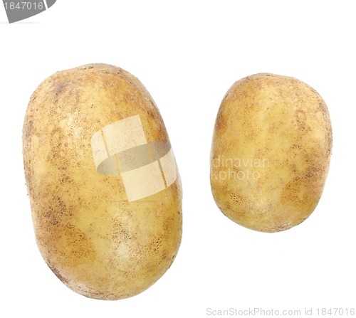 Image of  potato isolated on white background