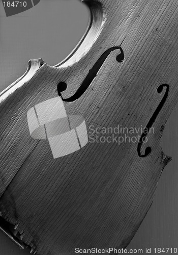 Image of Black and white image of an antique violin on display