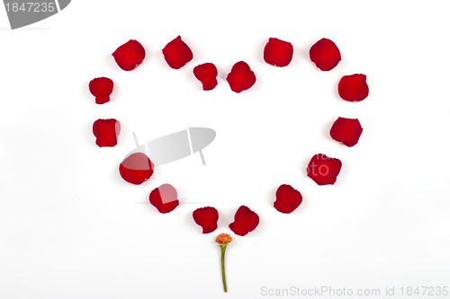 Image of beautiful heart of red rose petals isolated on white