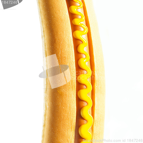 Image of hot dog on white background