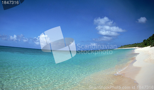 Image of beach and tropical sea