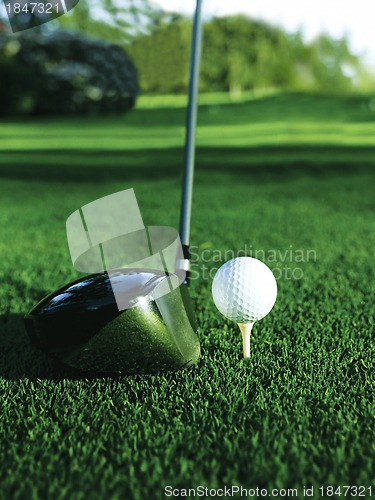 Image of Close up of golf ball on a tee