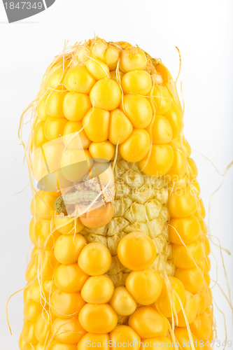 Image of A worm eating the corn