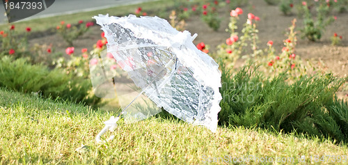 Image of weddings umbrella