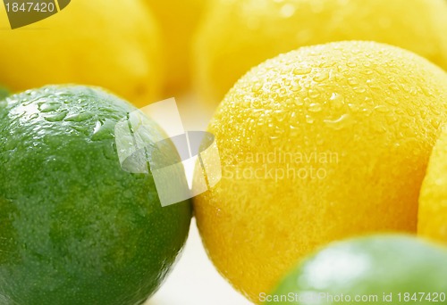 Image of Orange, limes and lemon citrus fruits