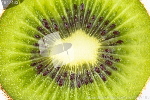 Image of Close up of kiwi slice isolated over white background