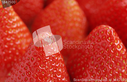Image of fresh strawberry on the clean isolated background