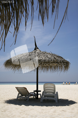 Image of Beach parasol