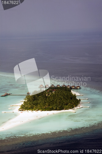 Image of The Maldives