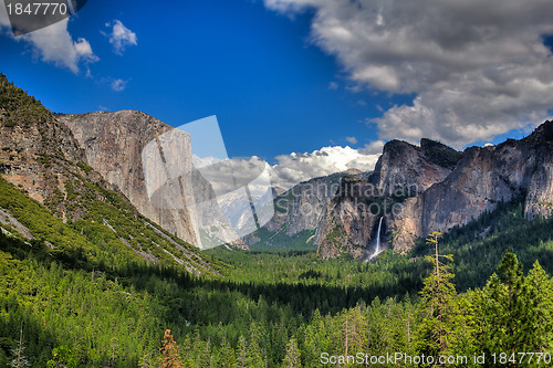 Image of Yosemite National Park