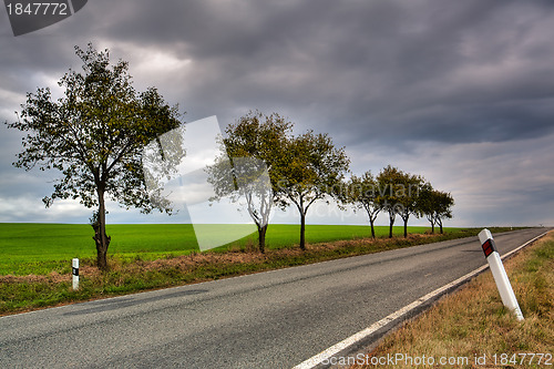 Image of The empty road