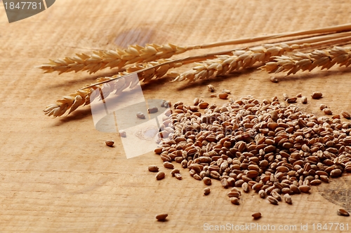 Image of Wheat corn and wheat spike on a wood plank