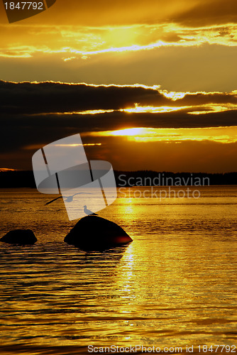 Image of Sunset, gulls and stones in the lake.