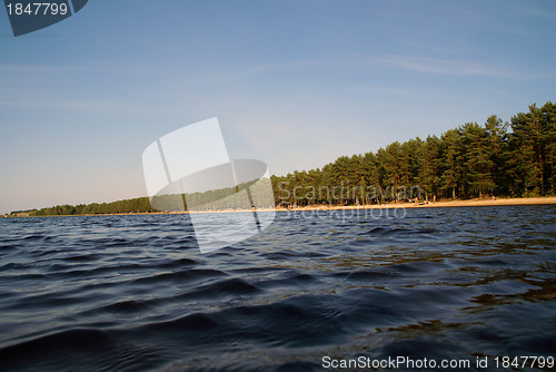 Image of Wild beach on a lake.