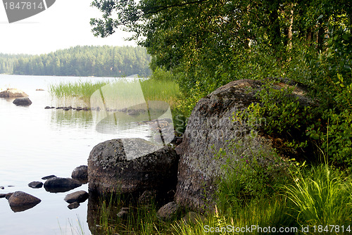 Image of Wild landscape of Finland nature in summer time