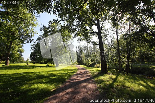 Image of sun footpath in the park