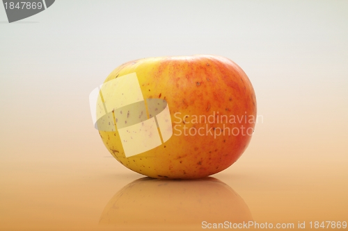 Image of Fresh apple