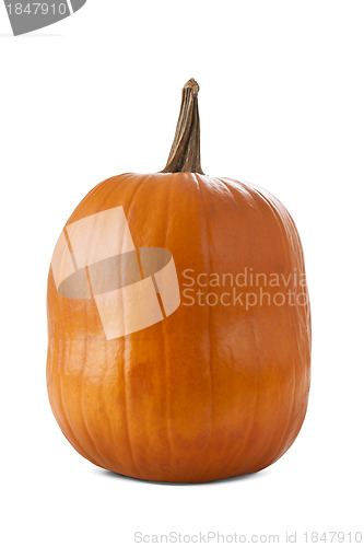 Image of Pumpkin isolated on white