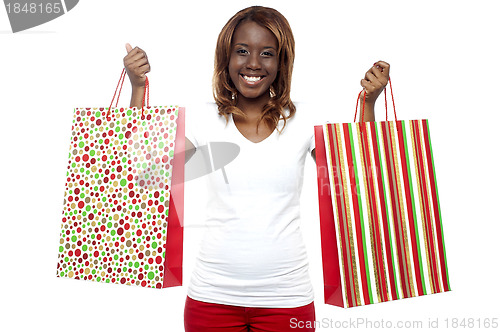 Image of Woman carrying shopping bags in both the hands