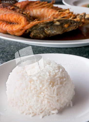 Image of Rice and fish at Thai restaurant