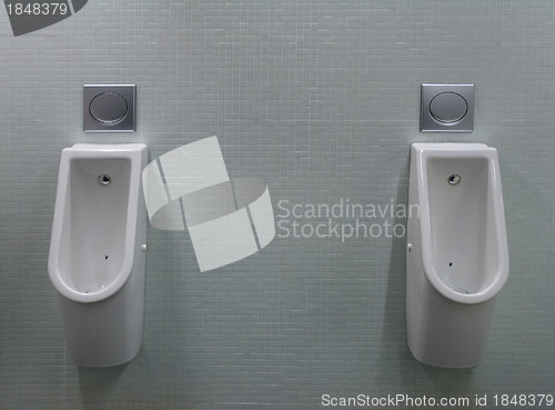 Image of urinals with two white painted a fly on the toilet