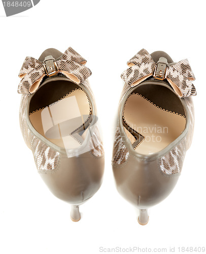 Image of A pair of female leopard shoes